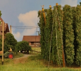 Hallertauer Bauernhof von Manfred.008.jpg