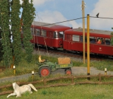 Hallertauer Bauernhof von Manfred.019.jpg